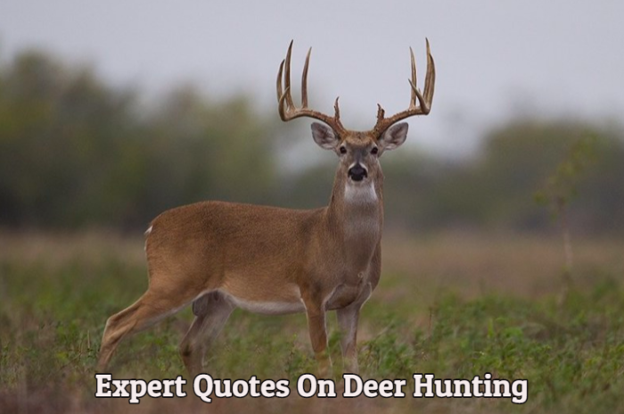 Hunting Games: Top Expert Quotes On Deer Hunting